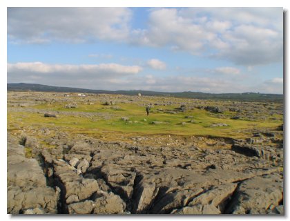 d) Cliffs and Burren (4)